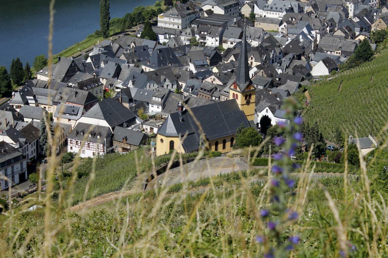Ferienhaus Moselblick Mit Kostenfreien Oepnv-Ticket Uerzig Exterior photo